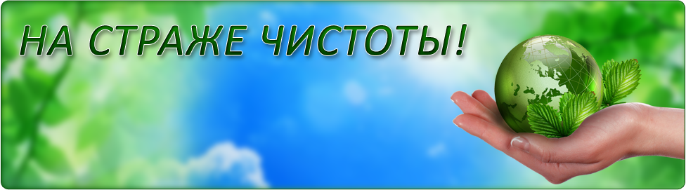 На страже чистоты!